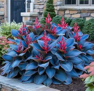 Хоста Грин Фог купить по цене от 669р. в интернет-магазине «Посадика» с доставкой почтой в в Саяногорске и по всей России – [изображение №1].