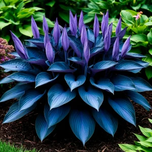 Хоста Сикрет Гров купить по цене от 570р. в интернет-магазине «Посадика» с доставкой почтой в в Саяногорске и по всей России – [изображение №1].